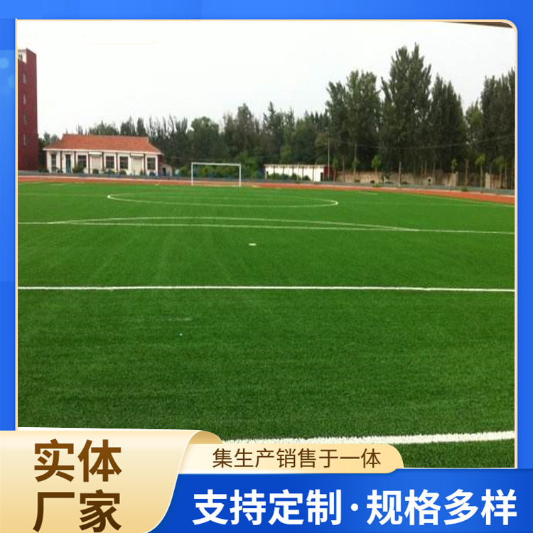 南平市学校塑胶跑道人造草坪 - 一站式服务